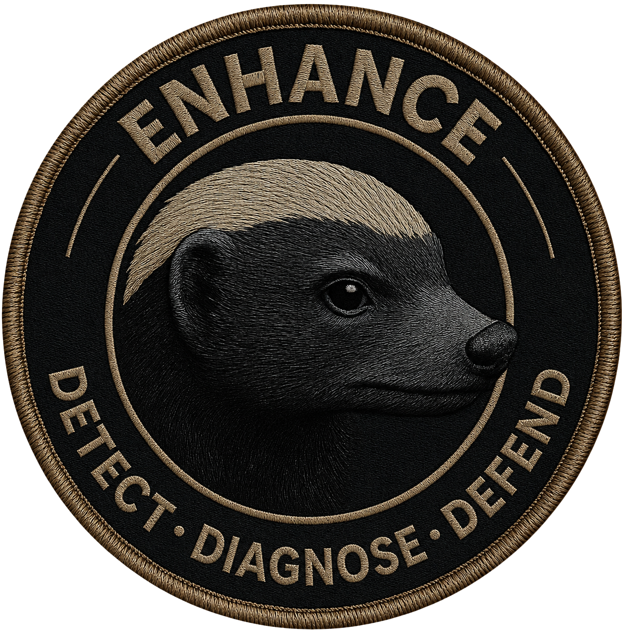 ENHANCE Inc. — DETECT · DIAGNOSE · DEFEND